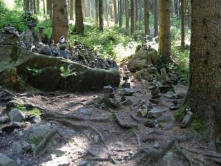 Cosy holiday home in the Harz region - 1