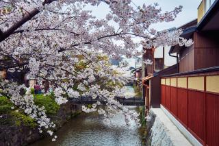 Rinn Gion Hanatouro - Kyoto - 2