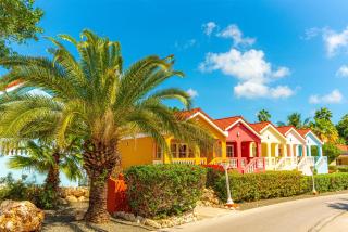 Sonesta Hotels & Resorts Livingstone Curacao - Willemstad - 6