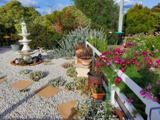 Heartland cottage - 4