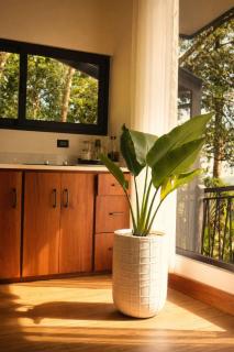 Toucan Villa - 4