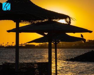 Relax Stays Magic Beach Serviced Apartments Hurghada - 5