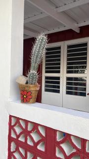 Casa Tecla - 6