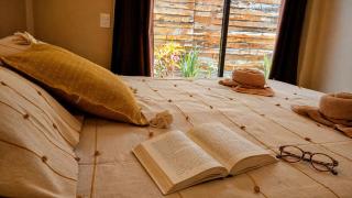 Cozy 2 bedroom apartment 15 minutes from Oaxaca - 0