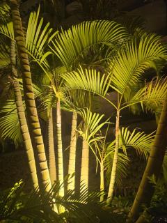 By Flamingo Hotels - in Ocean blue resort - 9