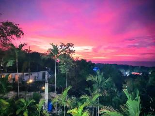 The Coconut Palm Villa ~Poolside Ocean View Suite - 1
