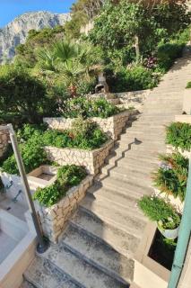 Apartments by the sea Drasnice, Makarska - 25930 - 1