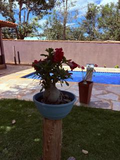 Cantinho Do Descanso - 9