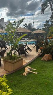 Ecologic Park - Apartamento em Caldas Novas - GO - 2