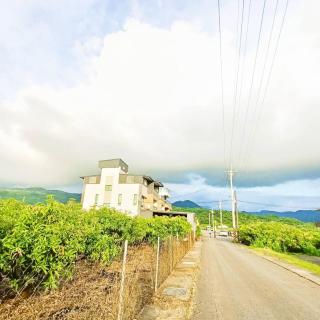 枋寮鳥窩窩 - 9