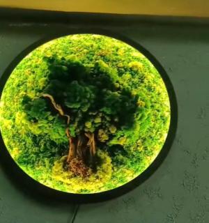Luna House - 4