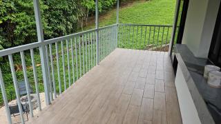 Morpho Bungalow Jungle Stay with Fire Pit - 5