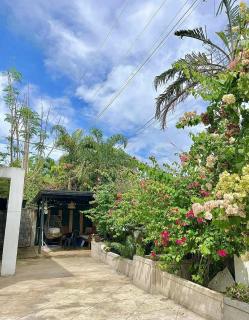 House of Flores - 6