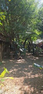 tropical garden homestay - 8