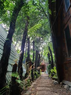 tropical garden homestay - 9