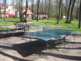 Hotel Complex Zelenyi Gai - Kopachuvka - 3