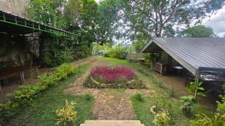 Mint Villa - Your Quiet Colombo Sanctuary - 9