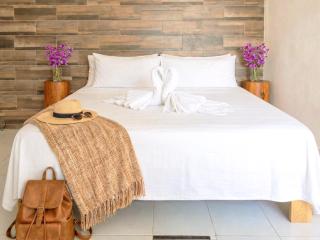 2 Family Suites, 4 Beds, Sleep 8, WiFi, AC, 5 Min Walk to Beach, 5th, ADO & Cozumel UVA1119 - 2
