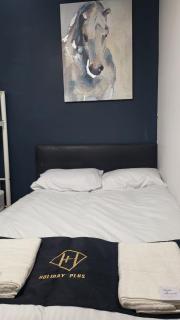 Holiday Plus - 50 Palatine Road - 4