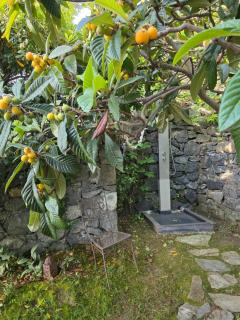 Villa Cokkinis fronte mare con ampio giardino - 8