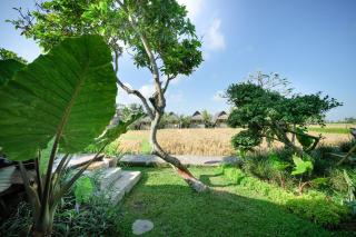 Ubud Rice Field Stay - Mahari by WAHM - Ubud - 8