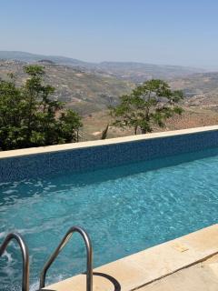 Luxury Mountain Chalet with Private Pool Lionden Jerash - 7