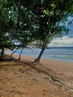 Bloom Beach Villa - Batigama - 8