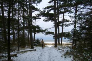 Ferienwohnung Nordsee - 1