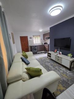One Bedroom Apartment B - 8