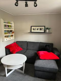 Spacious summer house with outdoor seating area, close to the sea & nature! - 9