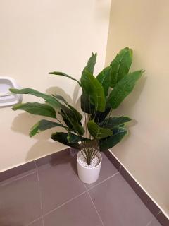 Cool Breeze at Serin West Tagaytay 1 Bedroom Condo - 5