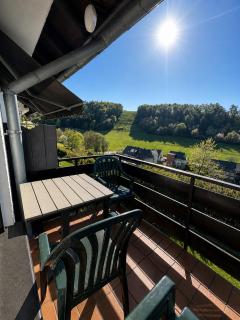 Ferienwohnung in Willingen-Schwalefeld - 8