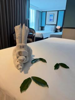 Kim Hoàng Hotel Tây Ninh - 5