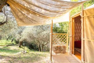 A yurt among olive trees and the sea - 1