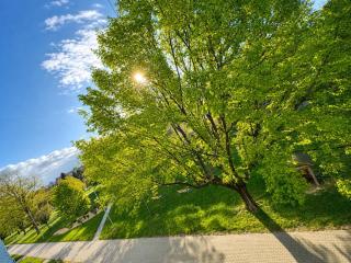 Apartment Nature View - 3