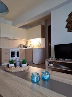 Sea View Apartment in Afytos Center - 9