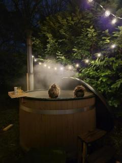 Chalet Reelax hottub en vrij uitzicht over het bos - 0