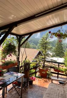Apartament Casa cu Flori de Munte - 9