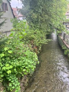 Studio 10 Rhine View - Quiet and Cozy - 10min walk to City Center, 15min to Main Station - Basilea - 6