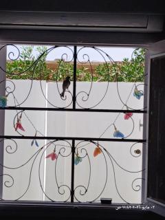 White Rose House - 8