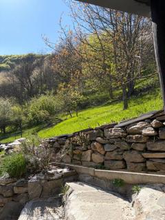 Casa del Bosco - 9