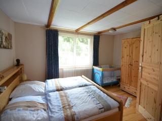 Cosy holiday home in the Harz region - 1