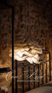Bodega Terencia - 6