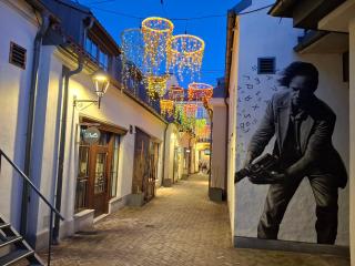 In Heart of Užupis - perfect location - 9