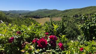 Un piccolo Paradiso nel Chianti più selvaggio - 0