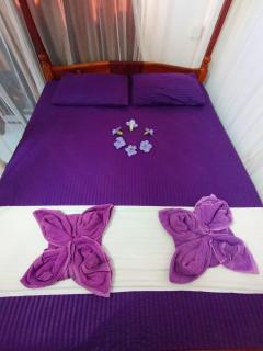 New Purple Villa - 8