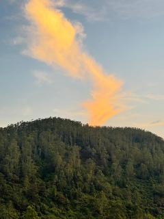 Montclair - 5