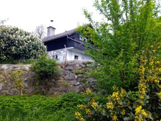 David Linea House - 1