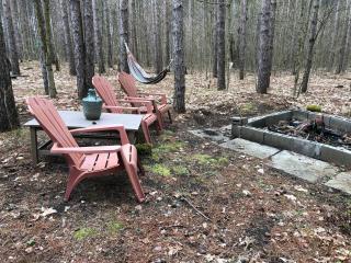 East cross forest log cabin - 6