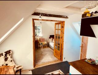 Apartment with free parking and access to garden - 6